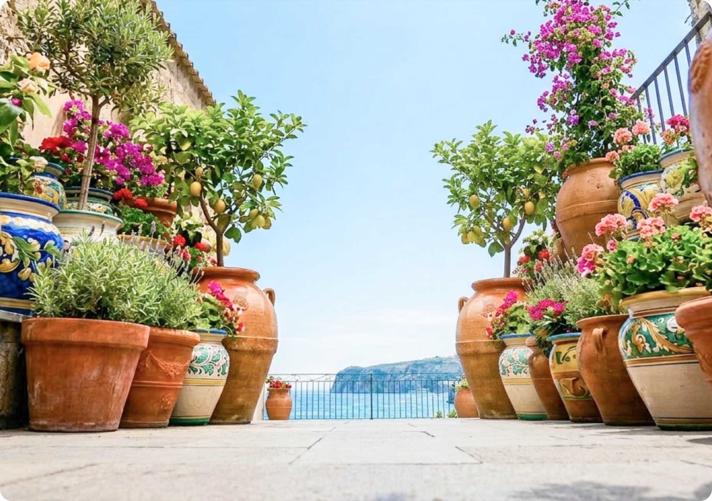 Showroom Faraone Vasi a Napoli con vasi in terracotta e ceramica