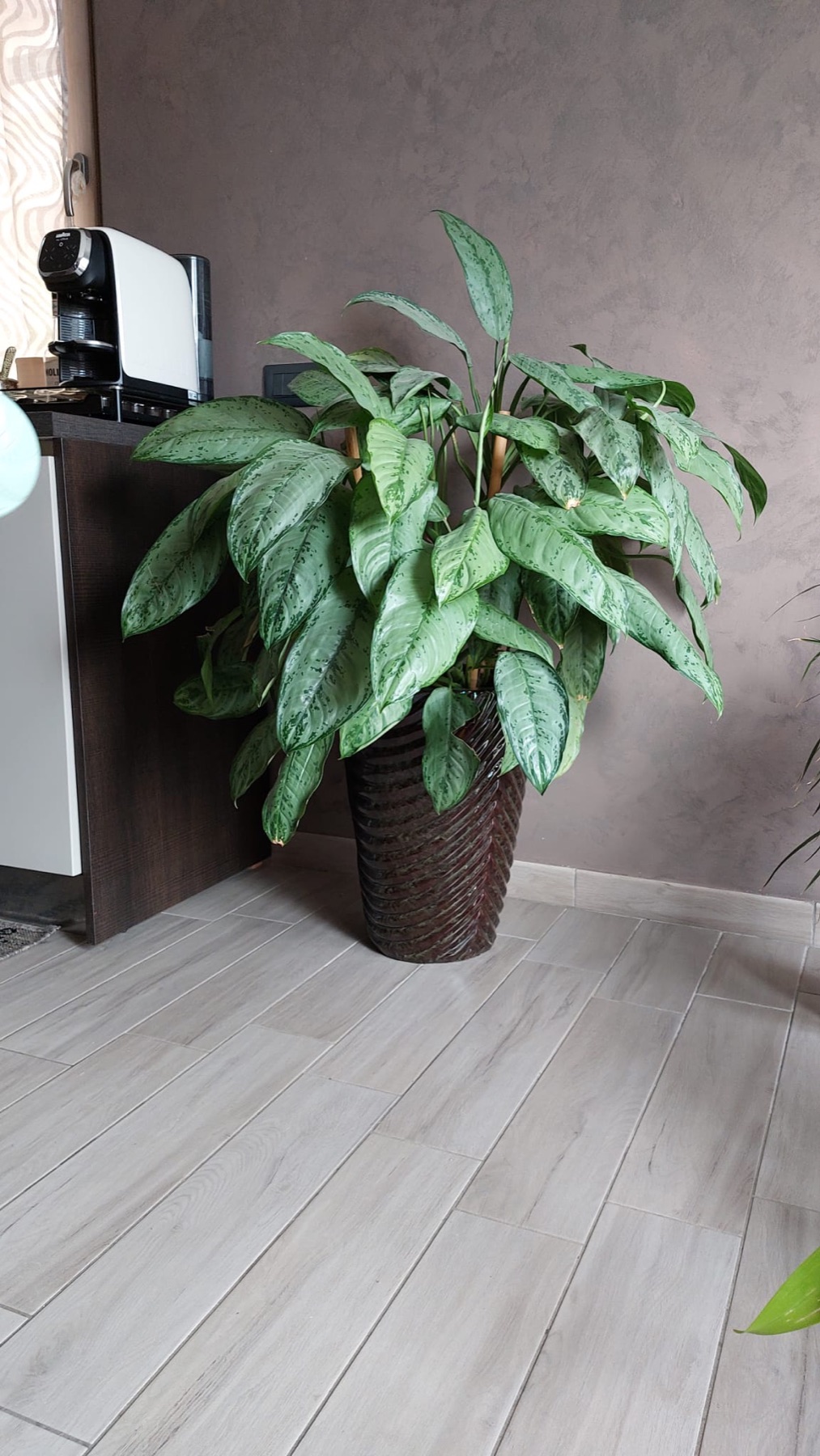 Allestimento con vasi e fioriere Faraone Vasi a Napoli - progetto 14