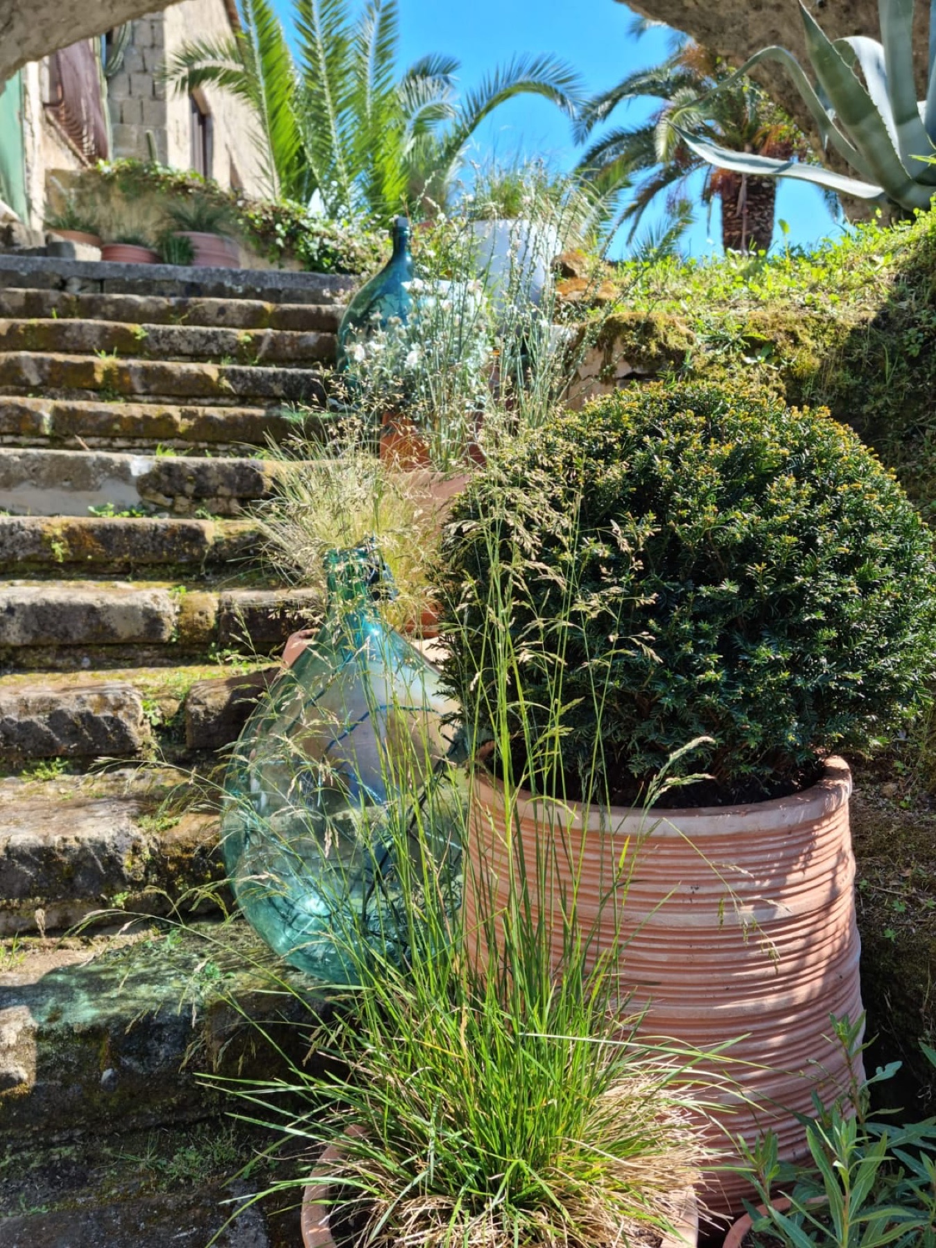 Allestimento con vasi e fioriere Faraone Vasi a Napoli - progetto 3