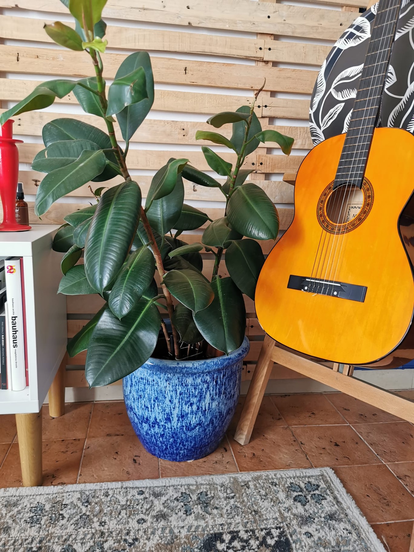 Allestimento con vasi e fioriere Faraone Vasi a Napoli - progetto 25